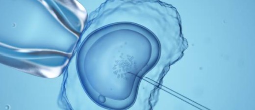 Fécondation in vitro (FIV) expliquée dans le cadre d'un accompagnement PMA.